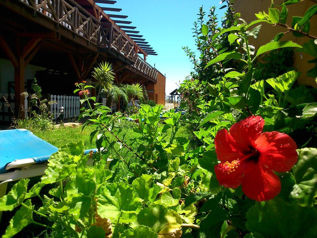 Hostal Playa Mazagón Exterior foto